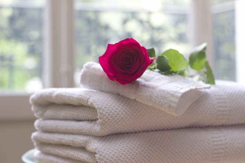 chambre-hote-TOUET SUR VAR-min_towel_rose_clean_care_salon_spa_white_bath-731641